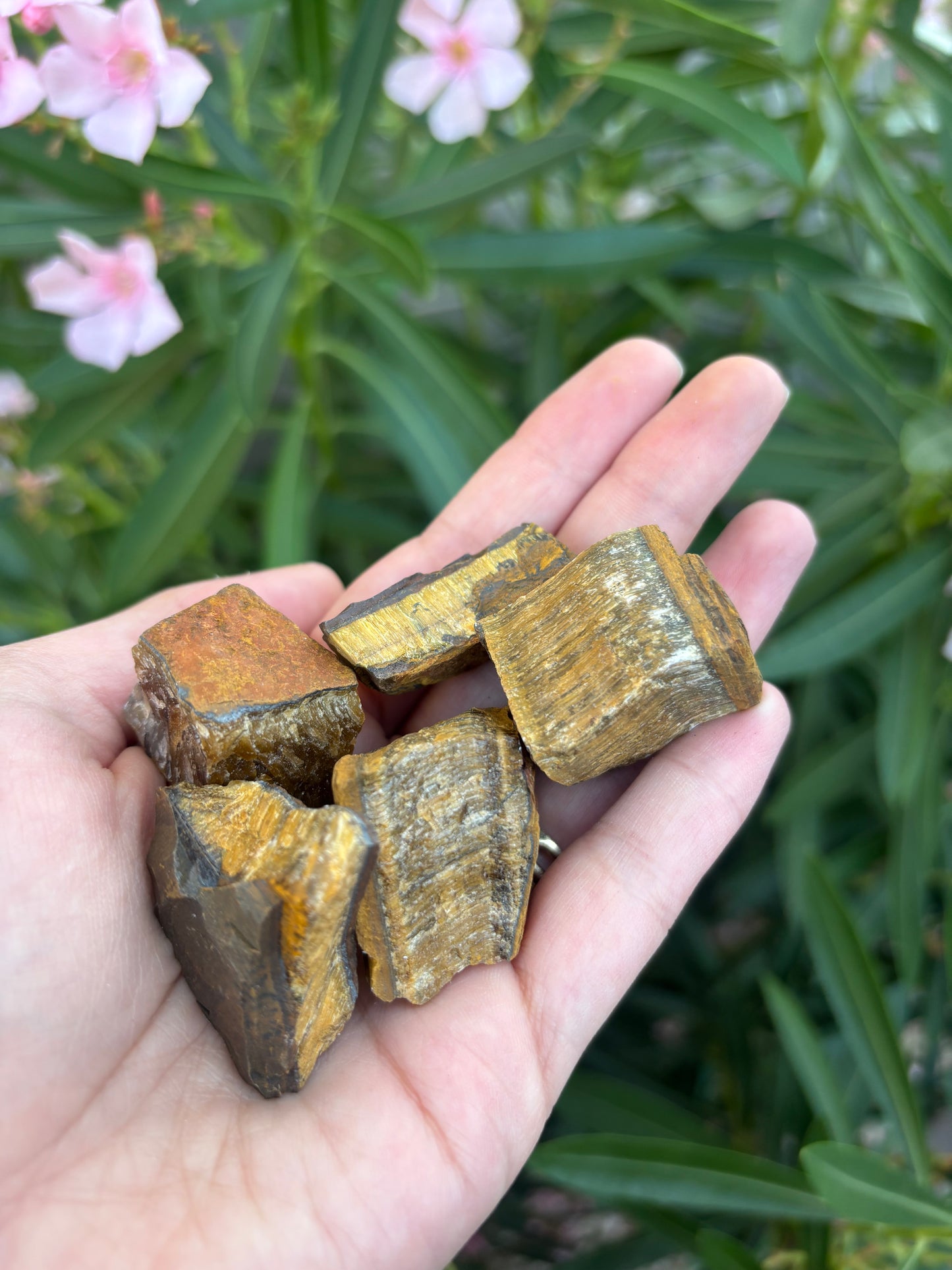Raw Tiger Eye
