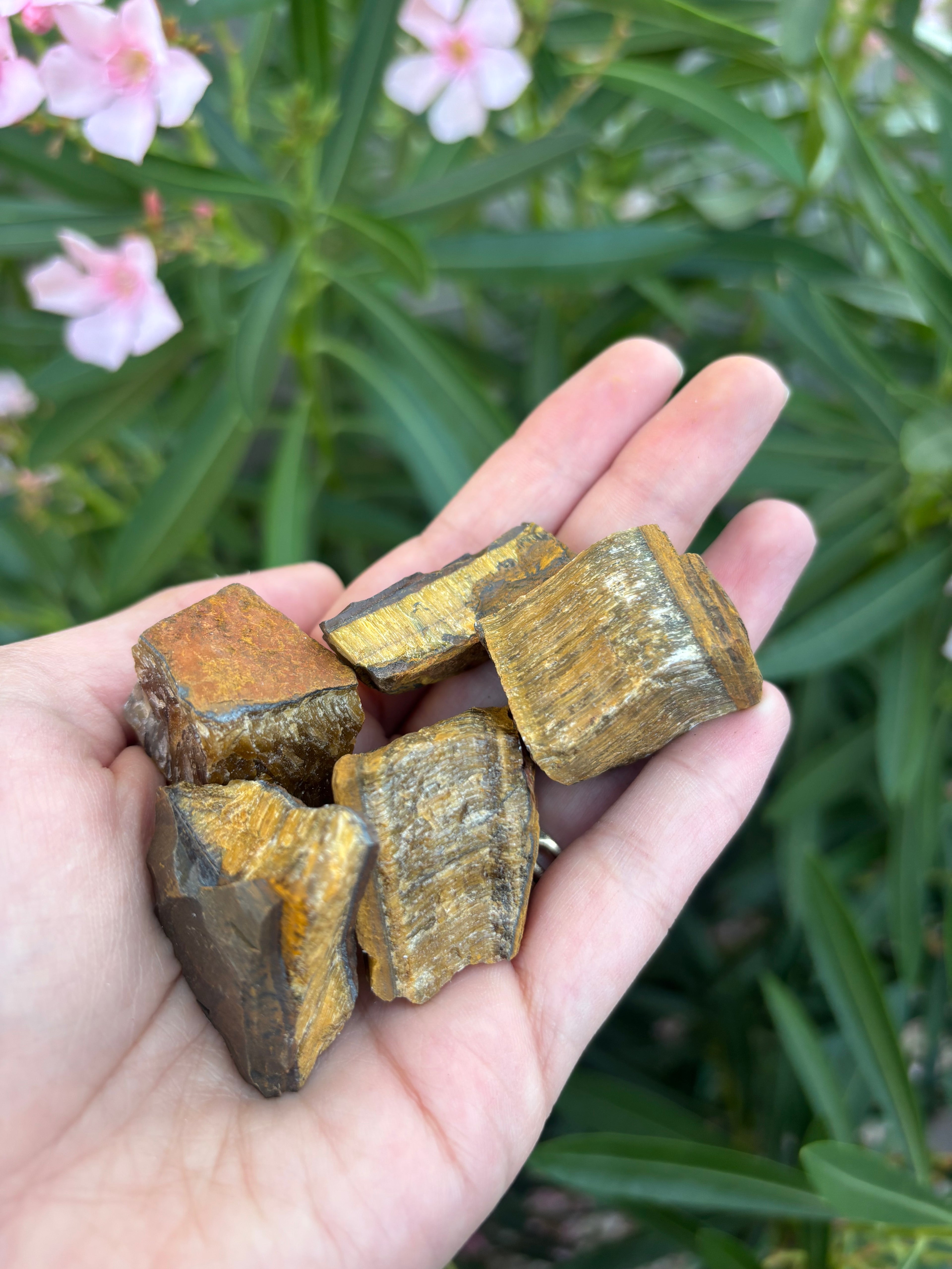 Raw Tiger Eye