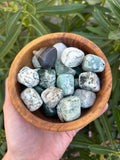 A hand holding a small wooden bowl filled with polished tumbled stones in green, white, gray, and dark charcoal tones, with leafy green plants in the background.