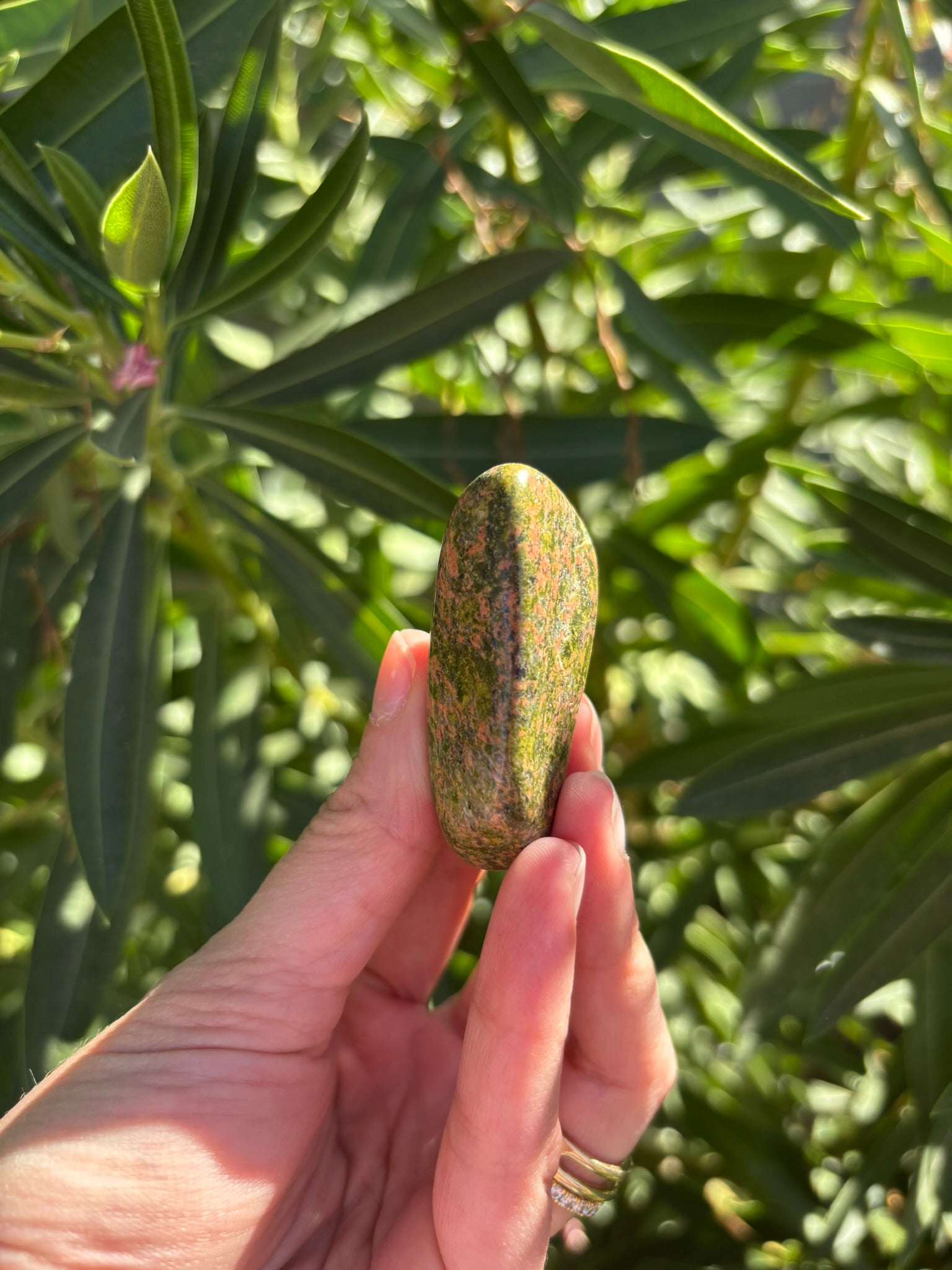 Tumbled Unakite