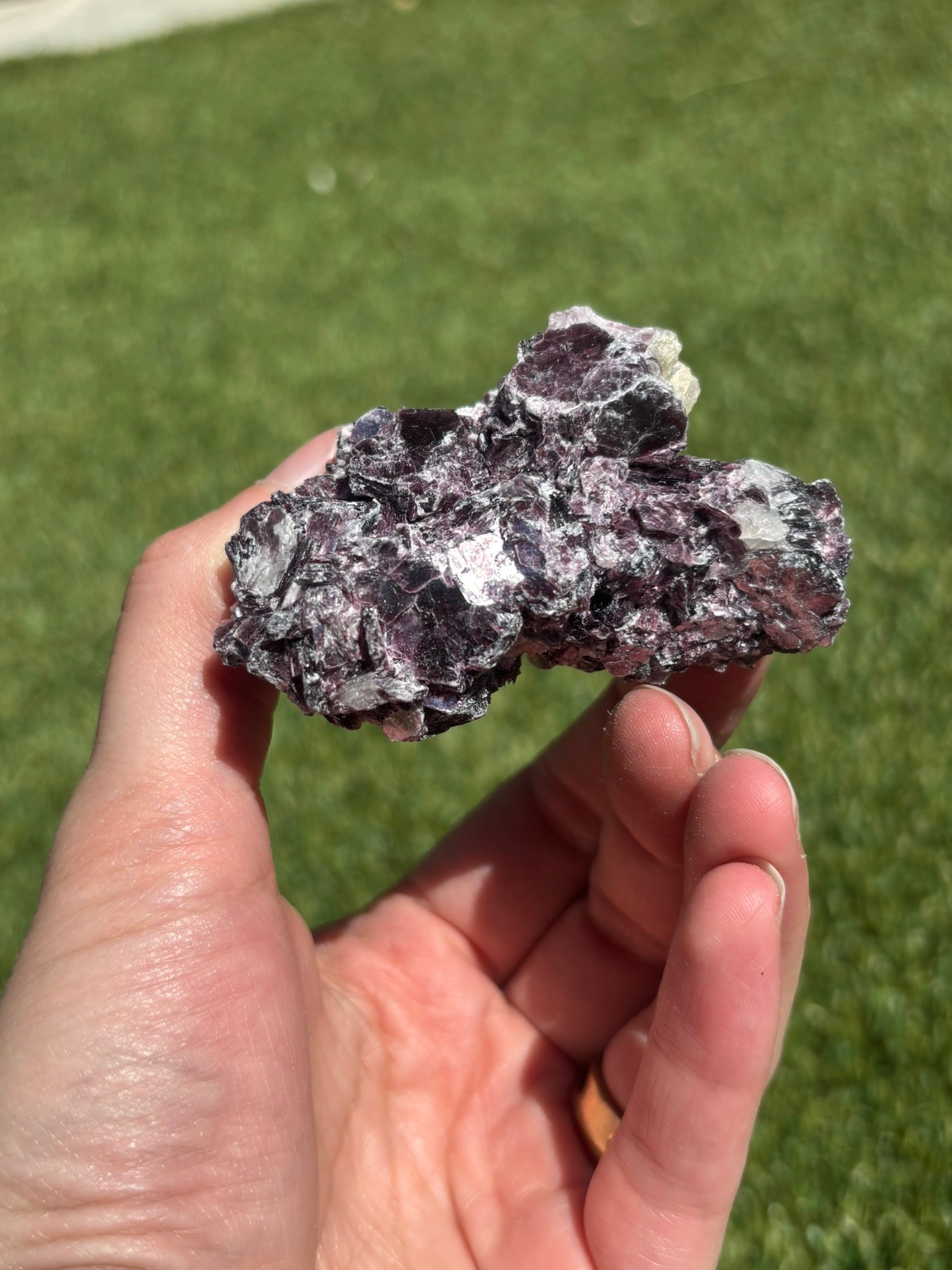 Star Mica Lepidolite - SML8