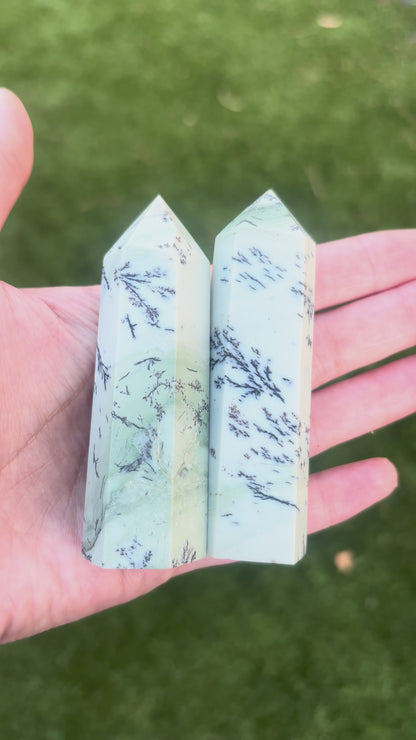 Dendritic Agate Tower Point